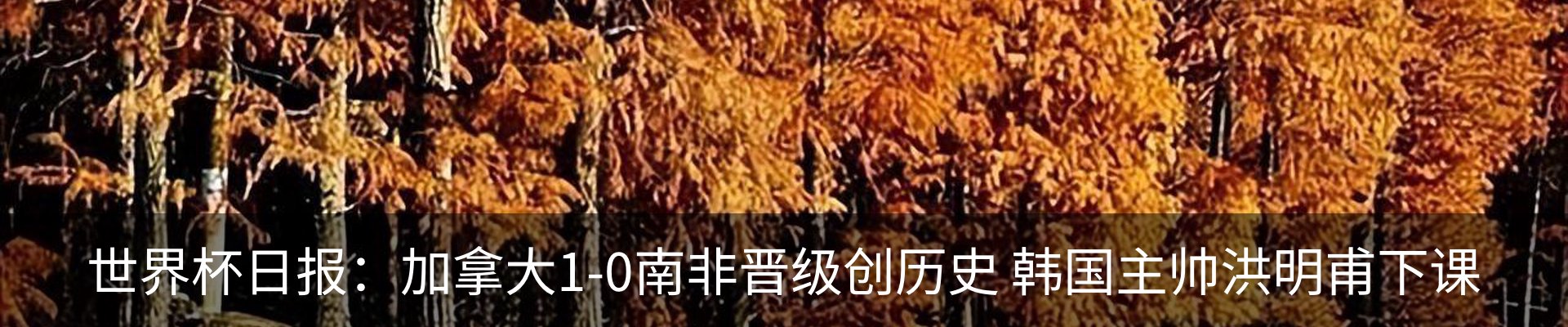 新闻动态