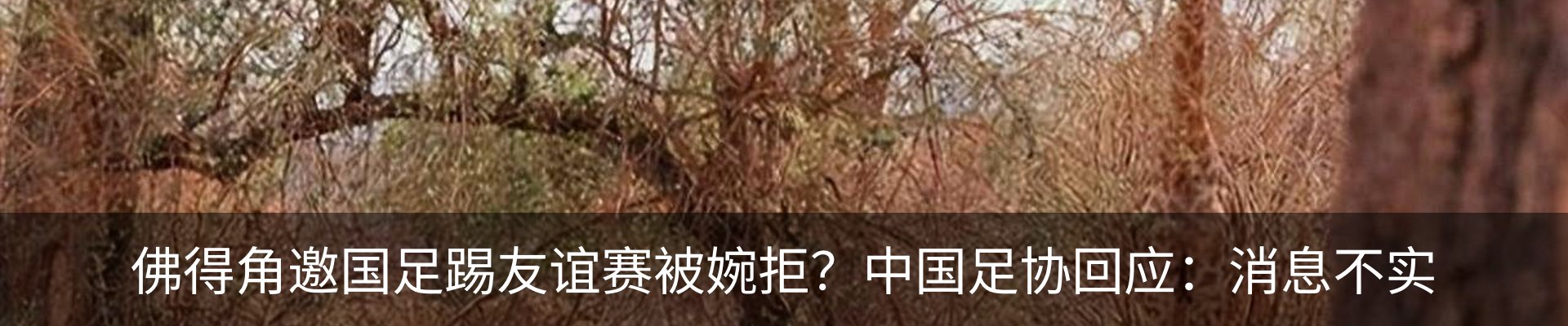 新闻动态