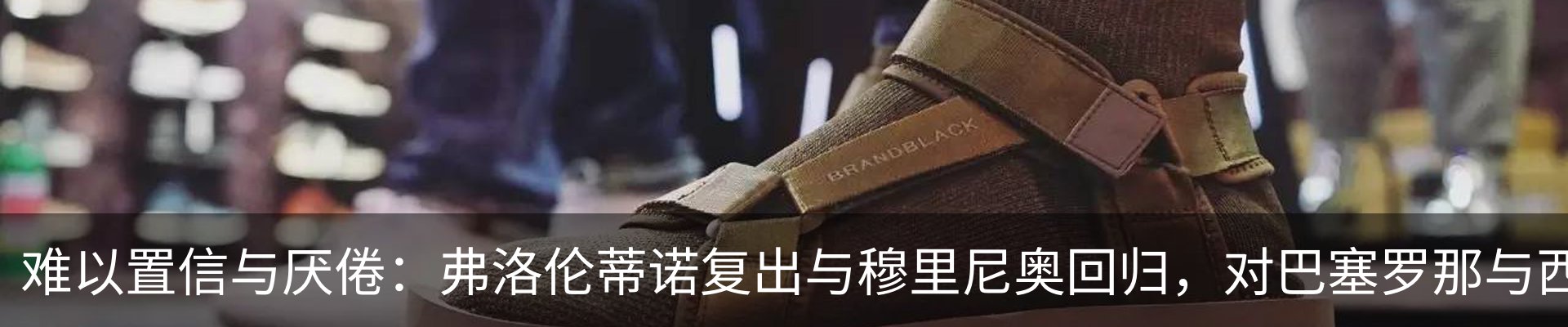 新闻动态